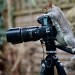 New Assistant