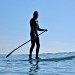 paddleboarder