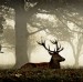 Crow and stag