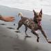Catch!