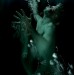 Waving/drowning
