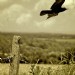 Crow road