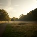 Mist