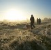 Cold dog walk