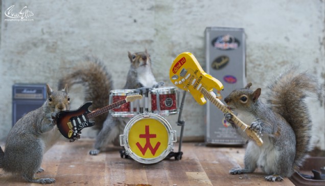 Squirrelisimo and the nuts