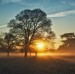 Red Dawn