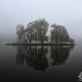 Foggy Islet