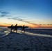 Surfed out
